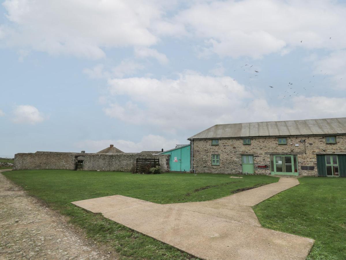 Lower Treginnis Farm St. Davids  Dış mekan fotoğraf